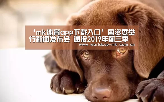 ‘mk体育app下载入口’国资委举行新闻发布会 通报2019年前三季度中央企业经济运行情况(图1) mk体育官方网站