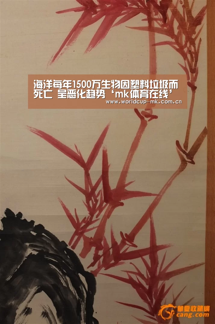 海洋每年1500万生物因塑料垃圾而死亡 呈恶化趋势‘mk体育在线’(图2) mk体育在线