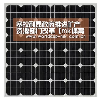 塞拉利昂政府推进矿产资源部门改革【mk体育在线】(图1) mk体育在线