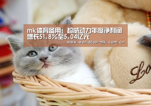 mk体育备用:超威动力年度净利润增长51.8%至5.04亿元(图1) mk体育备用