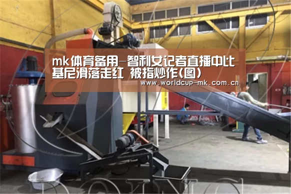 mk体育备用-智利女记者直播中比基尼滑落走红 被指炒作(图)(图1) mk体育备用