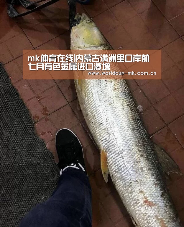 mk体育官方网站