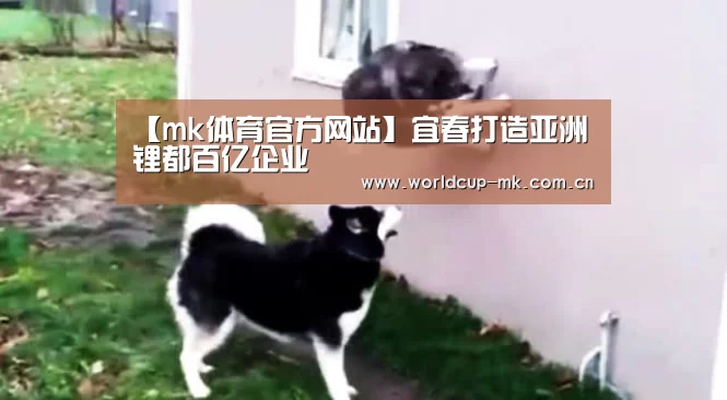 【mk体育官方网站】宜春打造亚洲锂都百亿企业